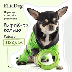 Игрушка для собак EliteDog Рифлёное кольцо, зелёная, резина, S, 11х11х2,6 см