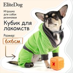 Игрушка для собак EliteDog Кубик для лакомств, оранжевая, резина, 6 см