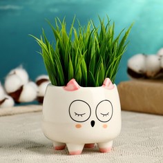 Цветочный горшок Take It Easy Совенок 5274433 0,2 л белый 1 шт.