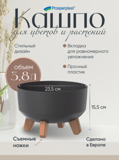 Цветочное кашпо Prosperplast Gracia low на ножках PPDGRL240L-S433 3,8 л темно-серый 1 шт.