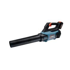 Воздуходувка SENIX BLAX2-M1-EU Sеt