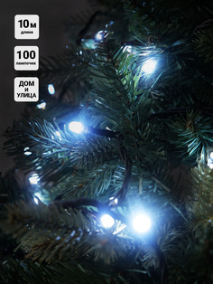 Гирлянда Нить уличная SH Lights 100 белых LED, 10 м, RB-LD100-W-E