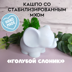Цветочное кашпо SHEVCHENKO DECOR Слон 21015 0,06 л голубой пастельный 1 шт.