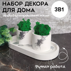 Цветочное кашпо SHEVCHENKO DECOR Гипсовое со мхом 31006 0,05 л 2 шт. белый серебро