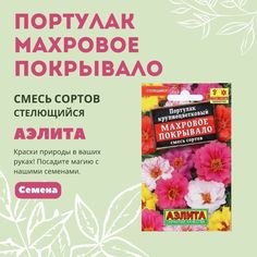 Семена Портулак "Махровое покрывало", смесь (0,1г) Аэлита