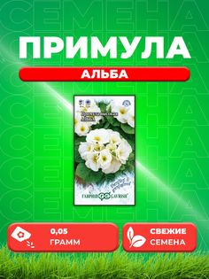 Семена Примула высокая Альба, 0,05г Устойчив к заморозкам Гавриш