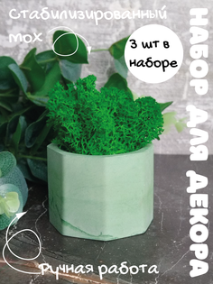 Цветочное кашпо SHEVCHENKO DECOR со мхом 31004 0,05 л зеленый мрамор 3 шт.