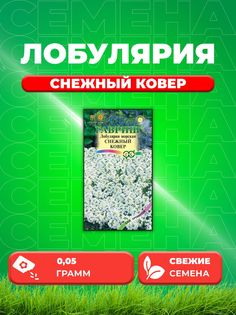 Семена Лобулярия Снежный ковер, 0,05г, Гавриш, Сад ароматов