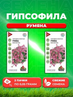 Семена Гипсофила ползучая Румяна, 0,05г, Удачные (2уп)