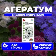 Семена Агератум Снежное покрывало, 0,05г, Удачные семена (1 уп)