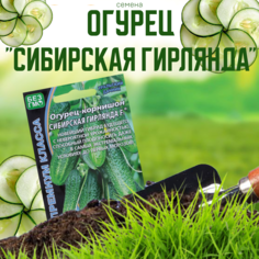 Семена Огурец Сибирская Гирлянда F1 скороспелый партенокарпический 5 шт Уральский дачник