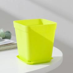 Цветочный горшок с поддоном 834353-5p 0,17 л разноцветный 5 шт. No Brand