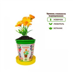 Набор для творчества Горшок Календула лекарственная hpn-27 No Brand
