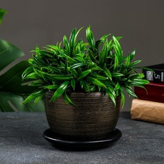 Цветочный горшок Изысканность 0,5 л коричневый 1 шт. No Brand