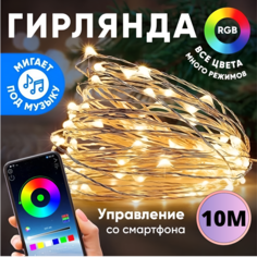 Гирлянда электрическая AOCV NEW-Y-10 10 м
