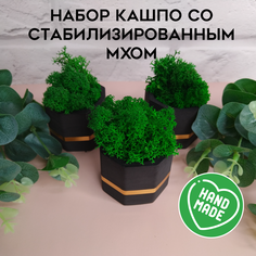 Цветочное кашпо SHEVCHENKO DECOR со мхом 31001 0,05 л черный графит 3 шт.