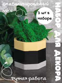 Цветочное кашпо SHEVCHENKO DECOR со стабилизированным мхом 31002 0,05 л разноцветный 3 шт.