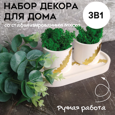 Цветочное кашпо SHEVCHENKO DECOR Гипсовое со мхом 31005 0,05 л 2 шт. белый золото
