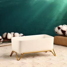 Горшок на подставке TAKE IT EASY Бонсайница для кактусов и суккулентов 17х8,5х8,5см