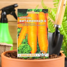 Семена морковь Витаминная 6 Росток-гель 1820302 1 уп.