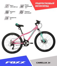 Велосипед FOXX 24" CAMELLIA, алюм. рама 12", 21 скор., Power/Microshift TS38, дисков