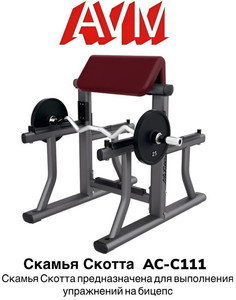 Скамья Скотта AVM AC-C111