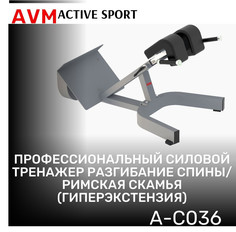 Гиперэкстензия AVM Active Sport разгибание спины римская скамья AVM A-C036