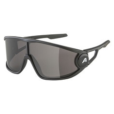 Очки Солнцезащитные Alpina Legend Black Matt/Black Cat. 3 + Hydrophobic (Б/Р) 2024