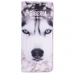 Бандана Buff Original Siberia