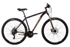 Горный велосипед Stinger Element Evo 29" (2024) Золотистый 22"