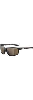 Очки Солнцезащитные Alpina Defey Tin-Black Matt /Brown Mirror Cat. 3 (Б/Р) 2024