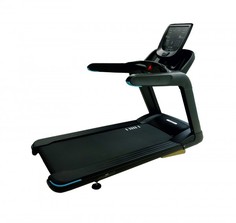 Беговая дорожка ULTRA GYM UG-POWER 002