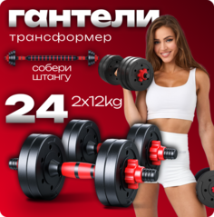 Гантели разборные ТИТАН 24 кг, 2 шт. по 12 кг + штанга 2 вида дисков