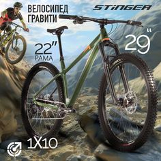 Велосипед STINGER 29" ZETA STD зеленый, алюминий, размер XL, рама 22, 2023