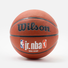Мяч баскетбольный Wilson JR. NBA Fam Logo Indoor Outdoor WZ2009801XB5, размер 5
