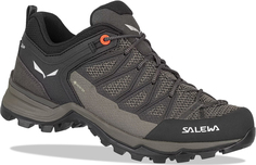 Ботинки Salewa WS MTN Trainer Lite GTX 2024, Коричневый, UK: 5