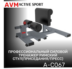 Римский стул приседания и пресс AVM A-C067