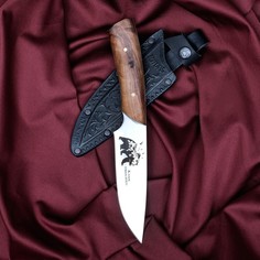 Нож Клык, нержавеющая сталь марки 65х13, 26х1,5 см, длина клинка 14,5 см МИКС Кизляр