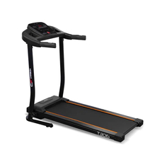 Беговая дорожка Carbon Fitness T306