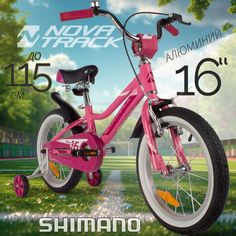 Велосипед детский Novatrack 165Anovara.Pn22