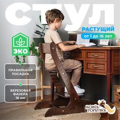 Детский растущий стул Конёк Горбунёк Стандарт, цвет Орех Конек Горбунек