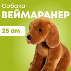 Мягкая игрушка Maxitoys реалистичная собака ML-SO-130222-25-18 серый