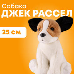 Мягкая игрушка Maxitoys реалистичная собака ML-SO-130222-25-5 белый