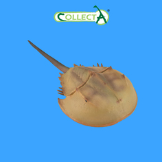 Фигурка Collecta животного Морское животное Мечехвост