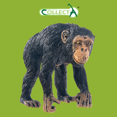 Фигурка животного Шимпанзе самка Collecta