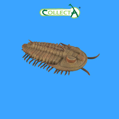 Фигурка Collecta животного Морское животное Трилобит