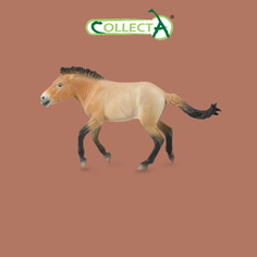 Фигурка Collecta лошади Жеребец Пржевальского, XL
