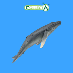Фигурка Collecta животного Горбатый кит детёныш
