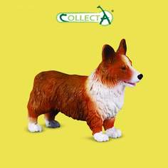 Фигурка Collecta животного Собака Корги