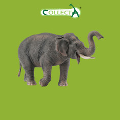 Фигурка животного Collecta, Азиатский слон